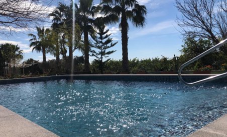 Finca rústica - Revente - Callosa de Segura - AM8211-5