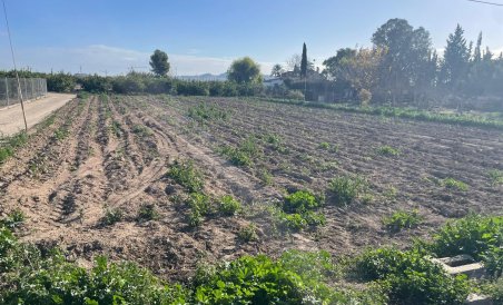 Land - Revente - Almoradí - Almoradí