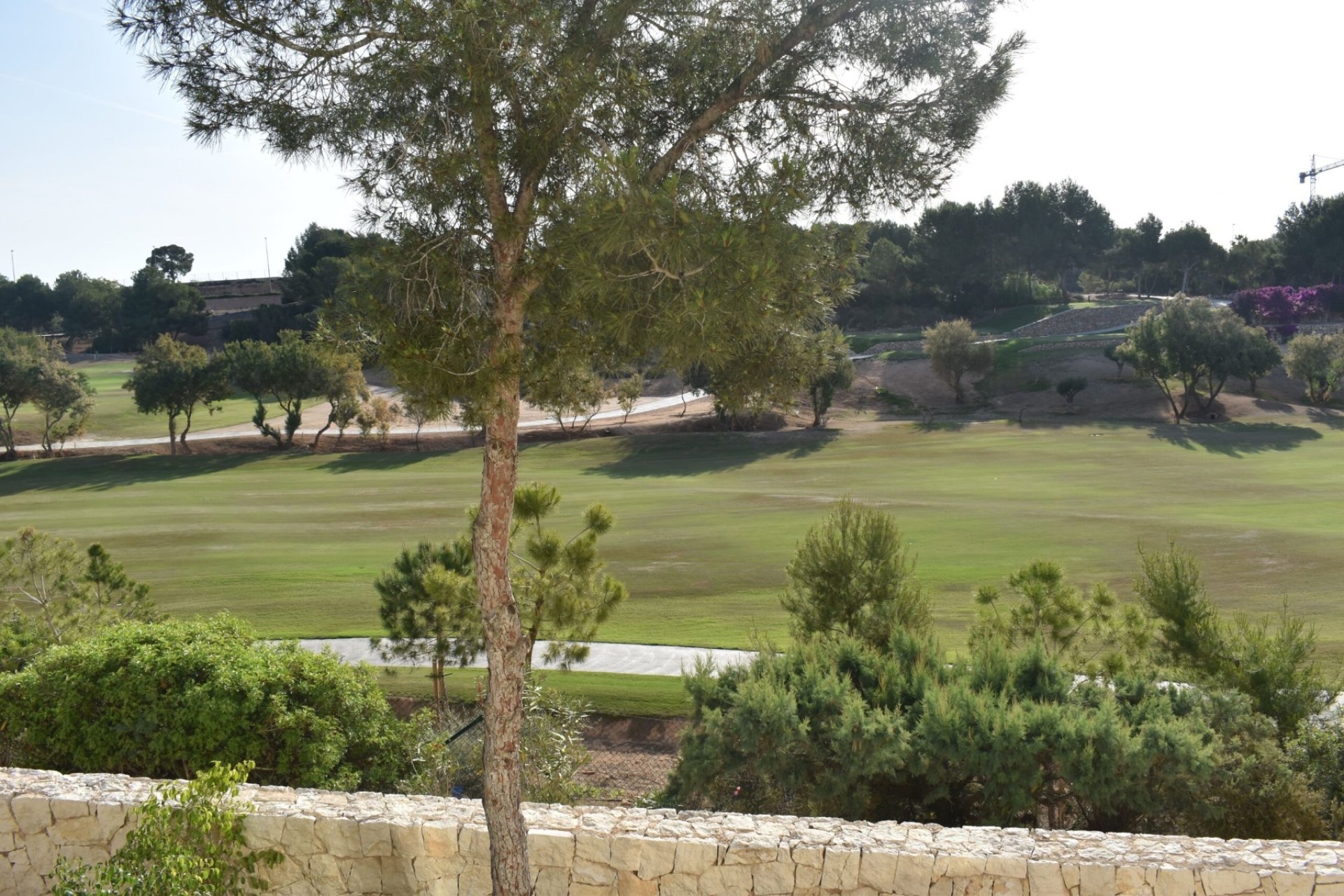 Location  - Appartement - Pilar de la Horadada - Lo Romero Golf