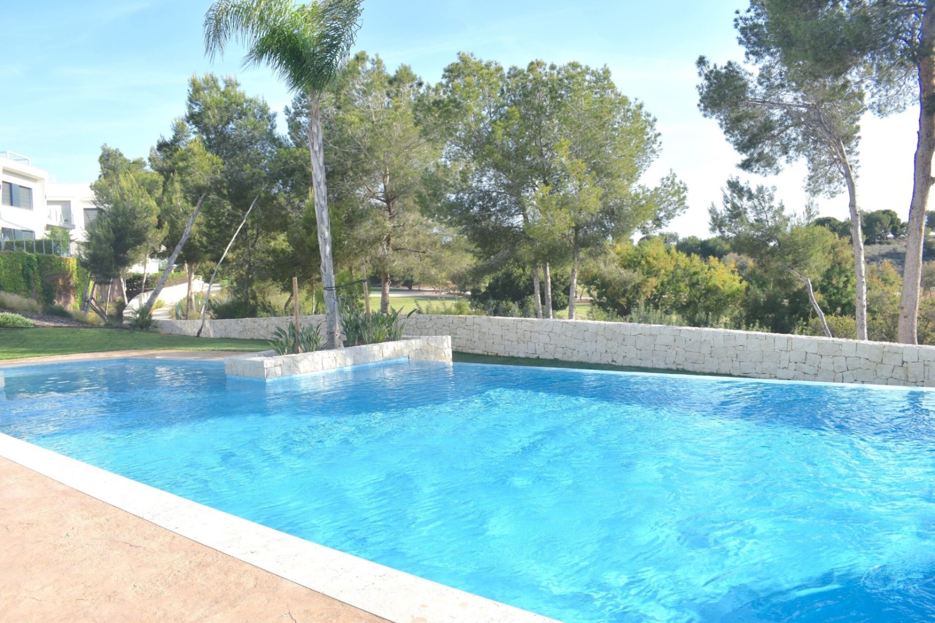 Location  - Appartement - Pilar de la Horadada - Lo Romero Golf