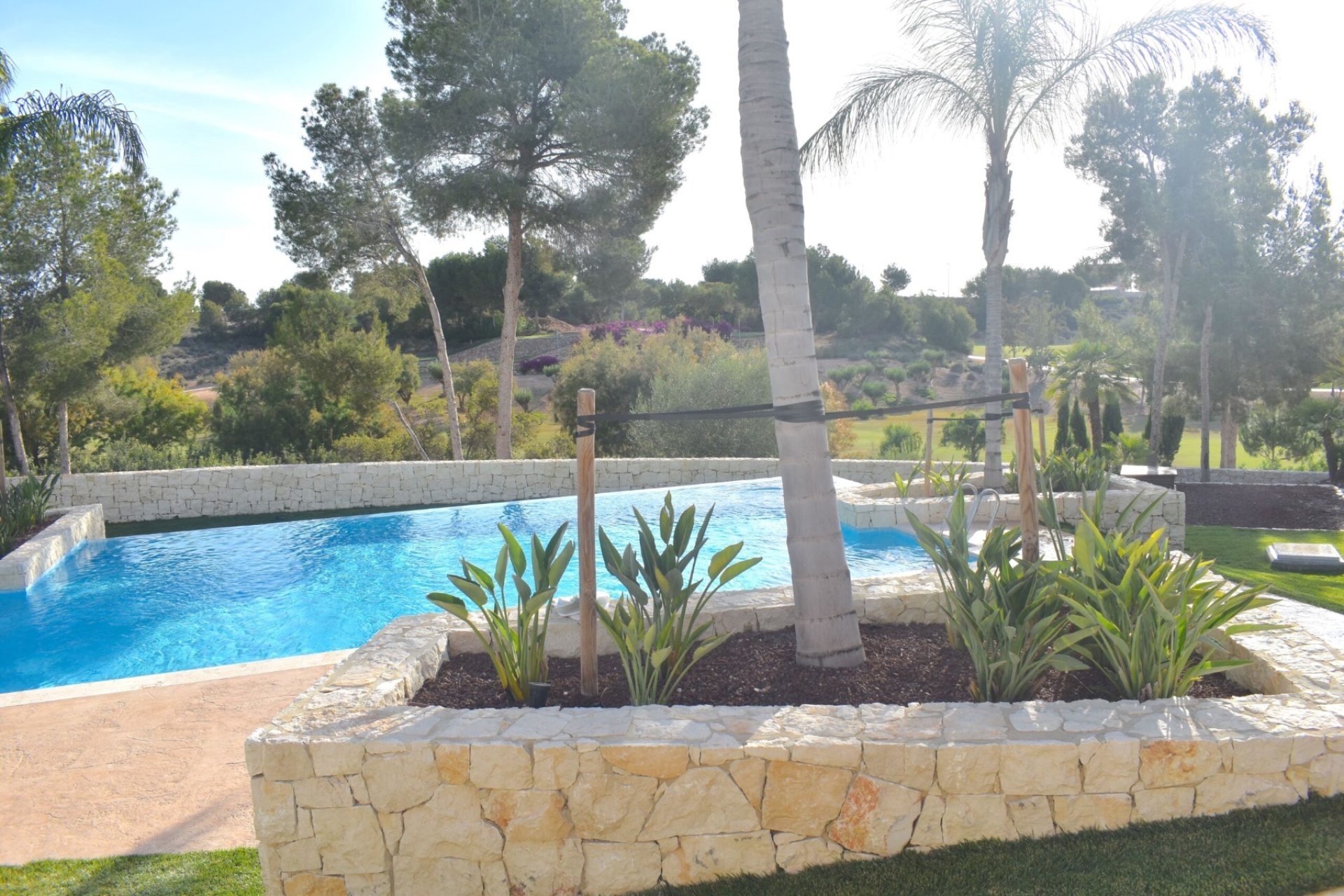 Location  - Appartement - Pilar de la Horadada - Lo Romero Golf