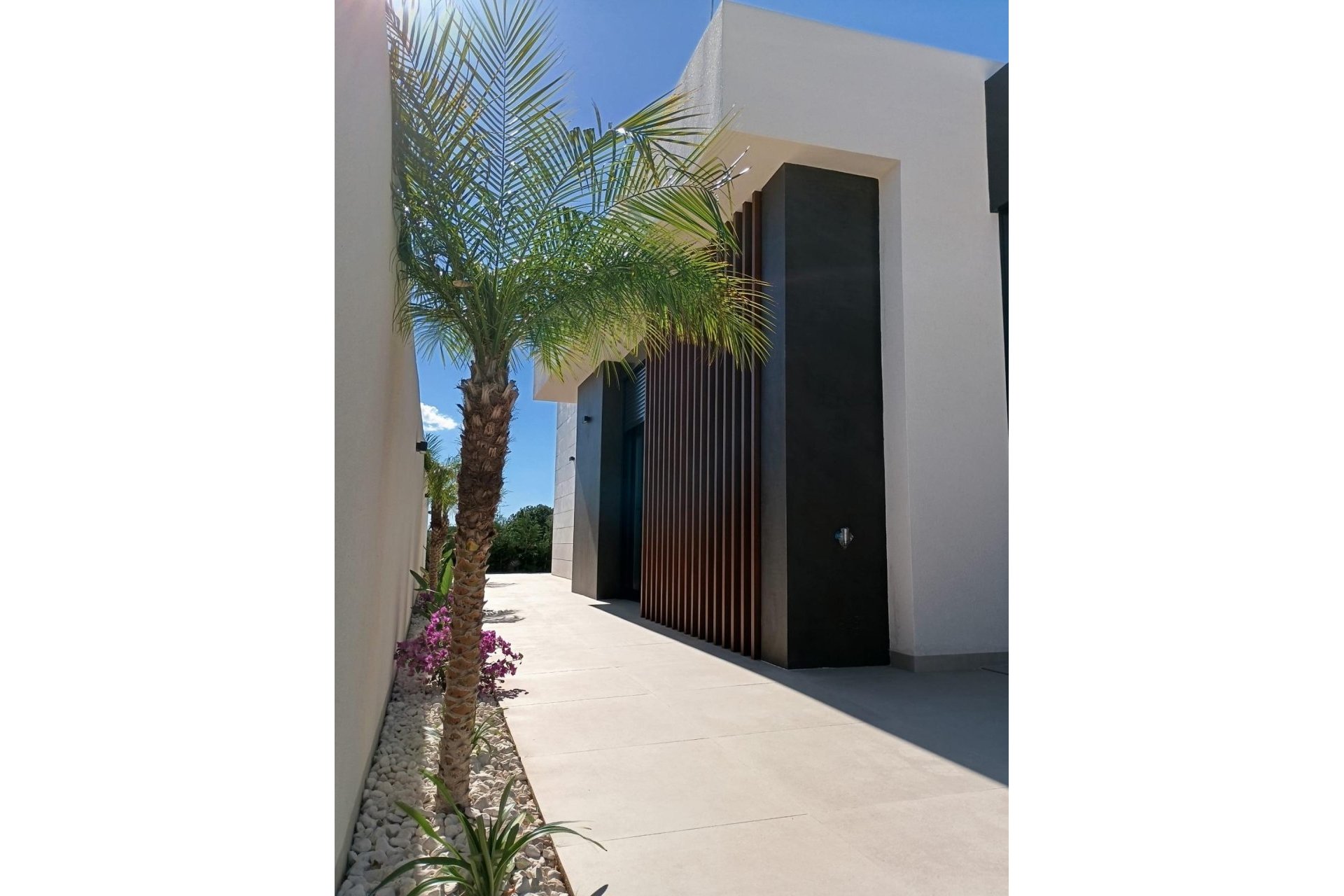 New Build - Villa - Pilar de la Horadada - Roda Golf