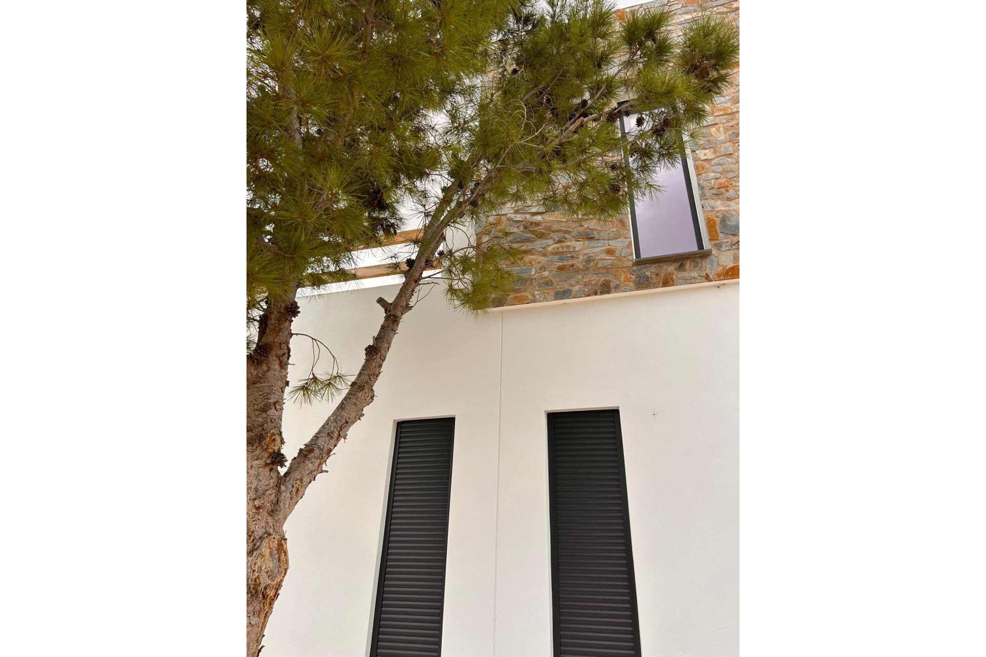 New Build - Villa - Pinoso - Casas Pastor