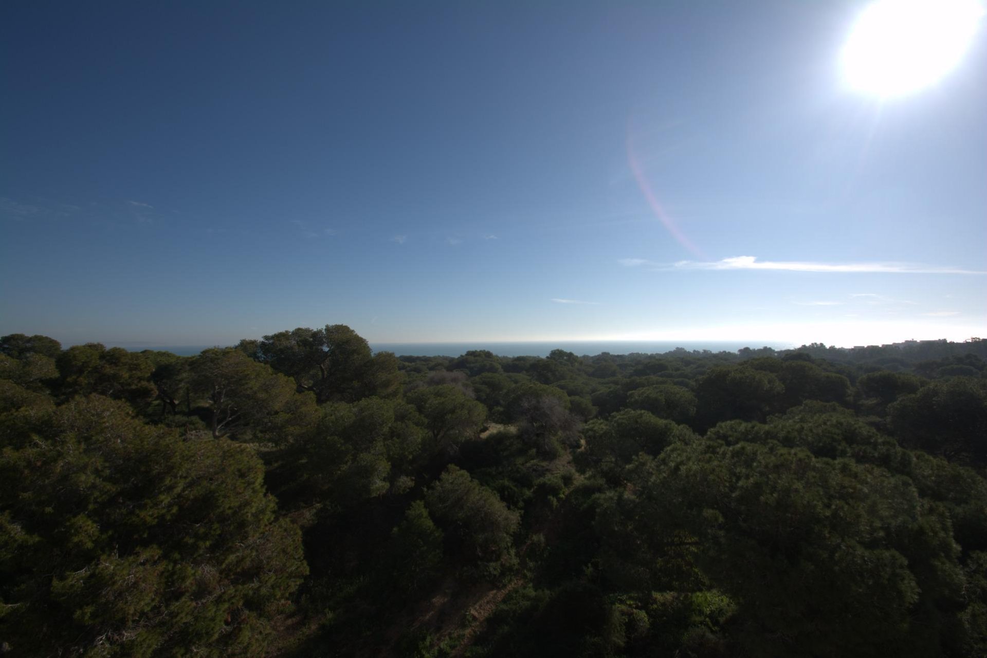 Nouvelle construction - Appartement - Guardamar del Segura - Pueblo