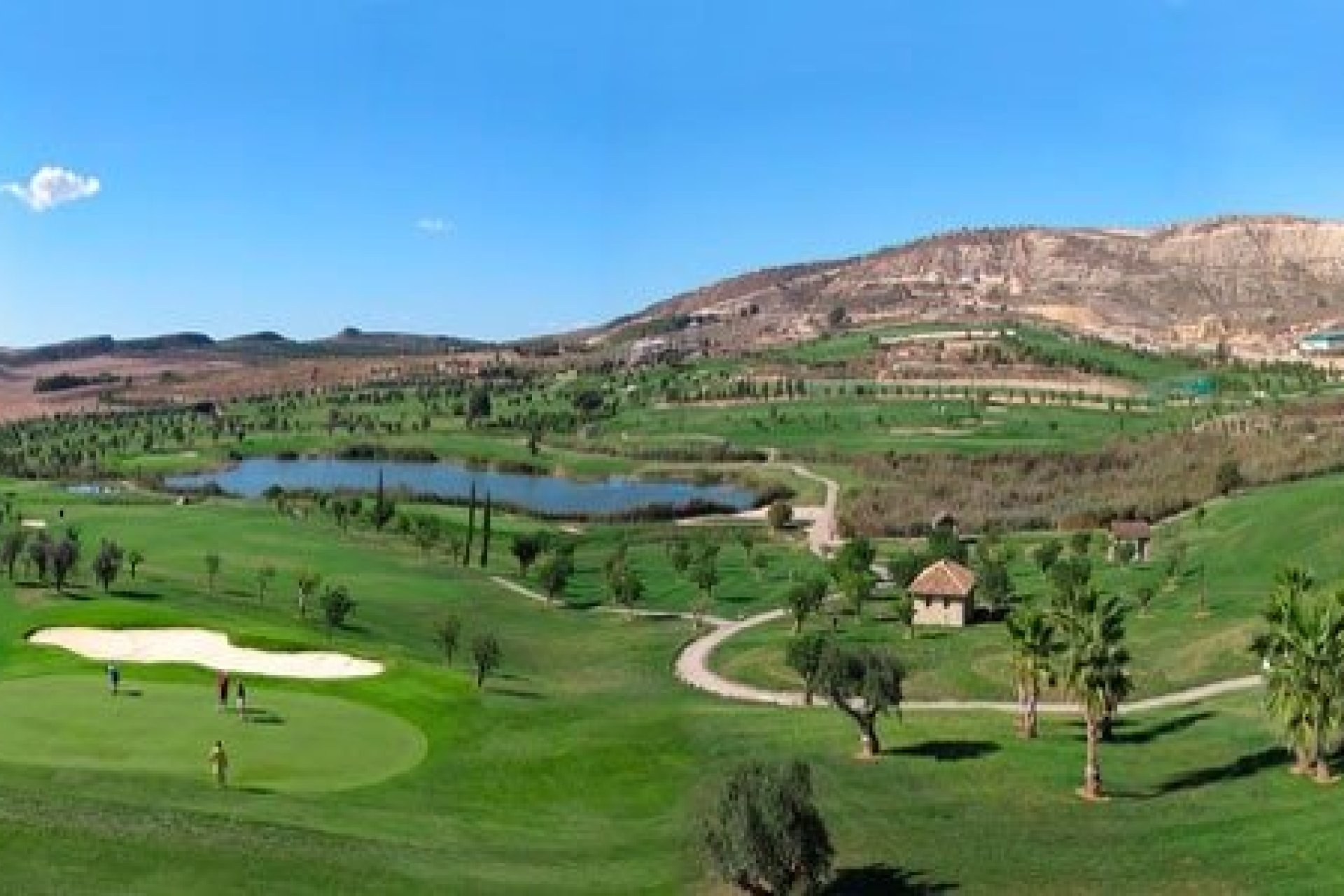 Nouvelle construction - Bungalow - Algorfa - La Finca Golf