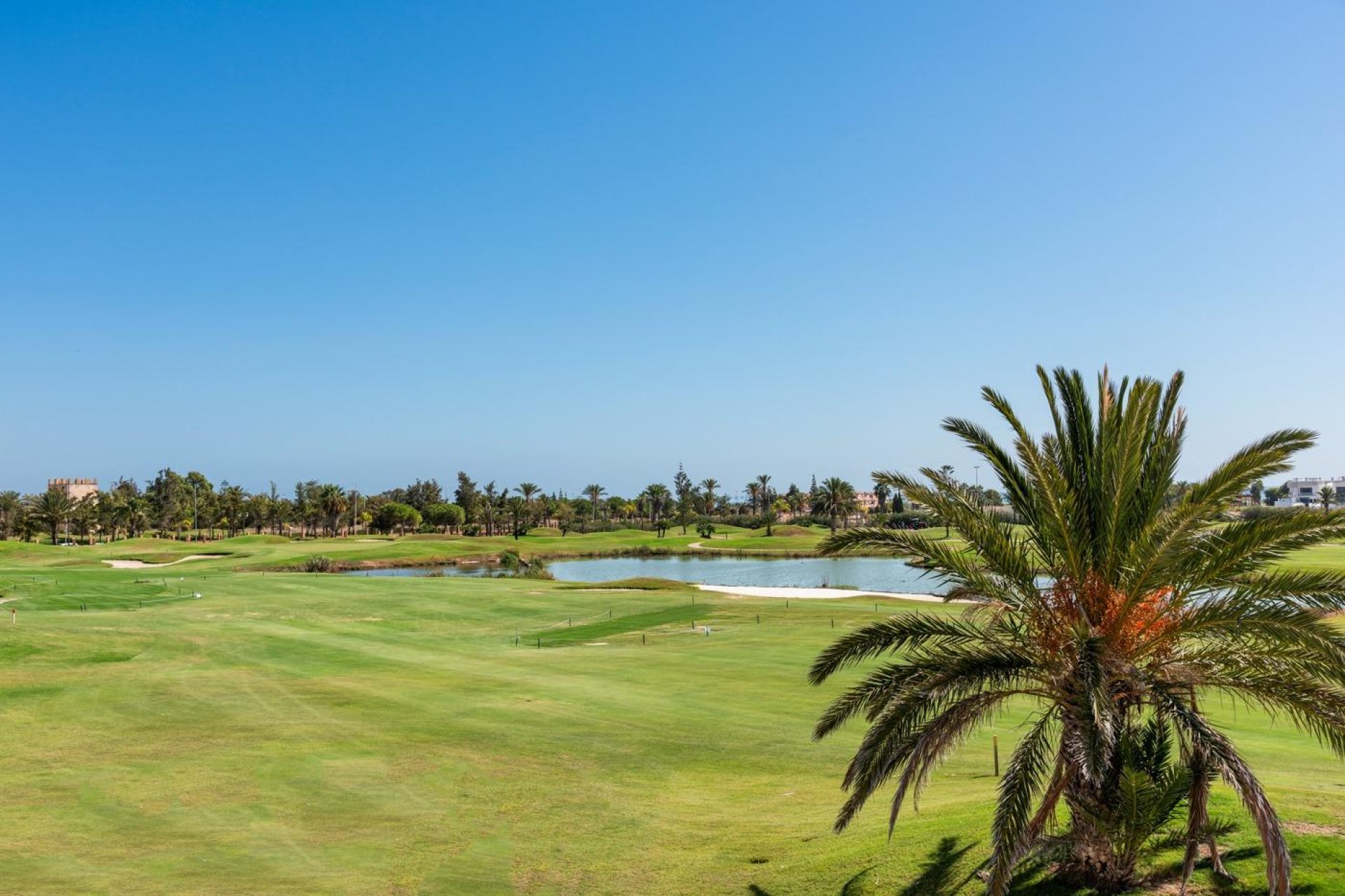 Nouvelle construction - Villa - Los Alcazares - Serena Golf