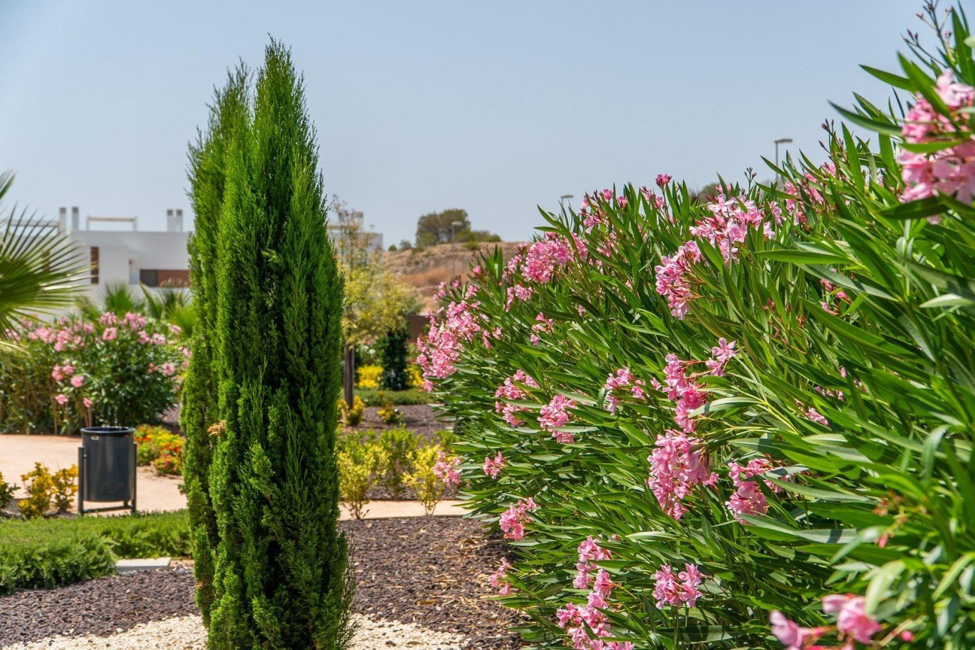 Nouvelle construction - Villa - Orihuela - Vistabella Golf