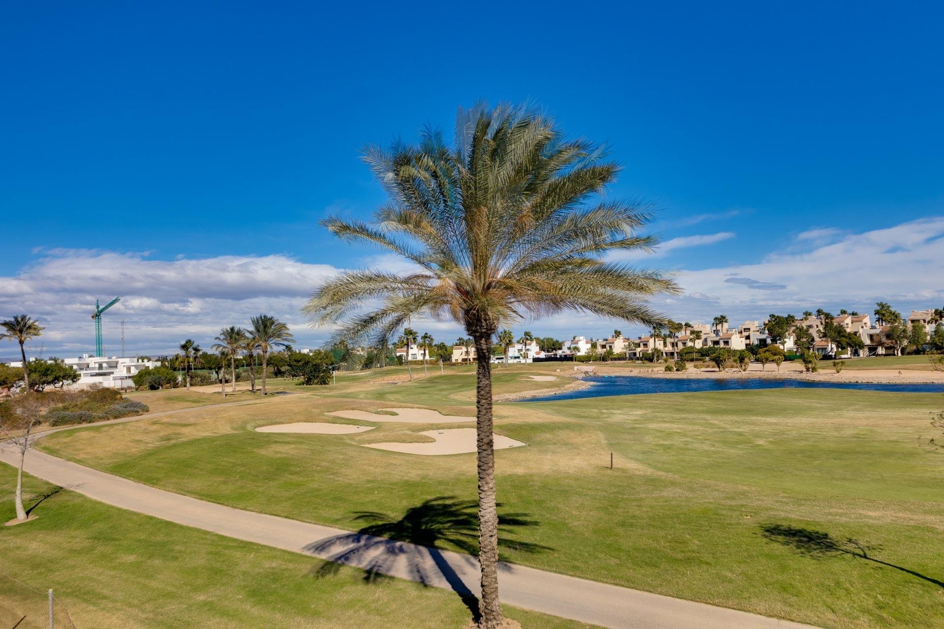 Nouvelle construction - Villa - Pilar de la Horadada - Roda Golf