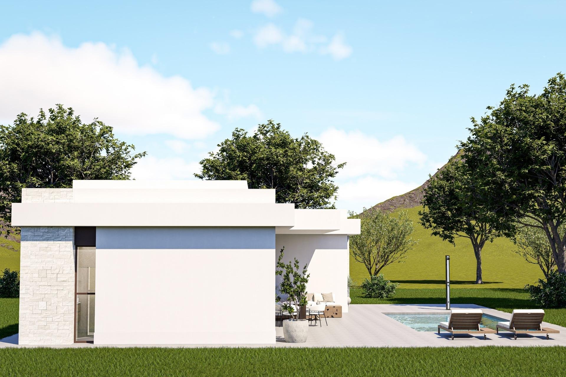 Nouvelle construction - Villa - Pinoso - Lel