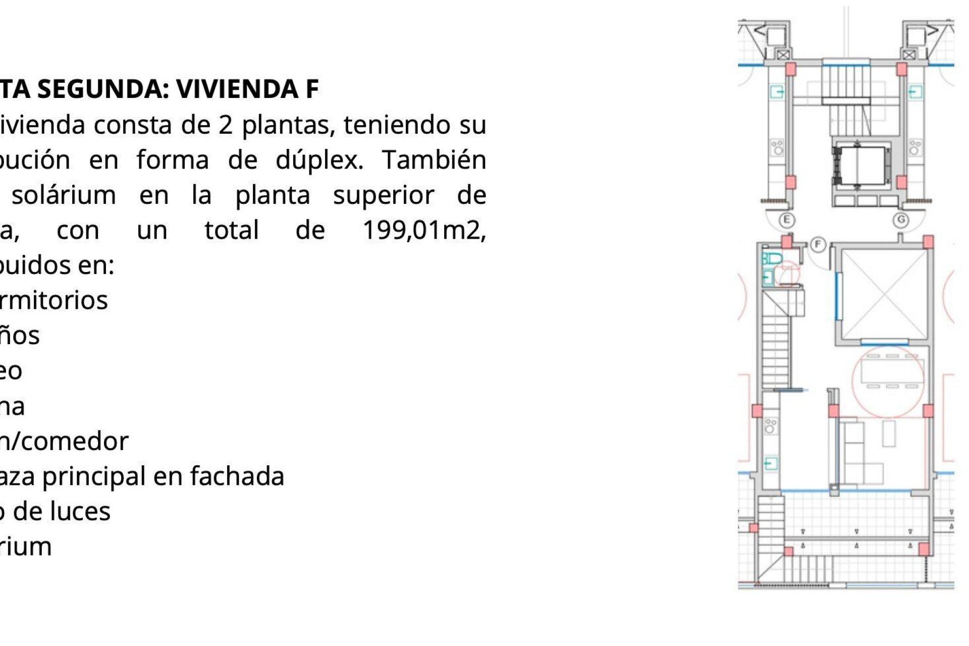 Obra nueva - Apartamento / piso - Benejúzar