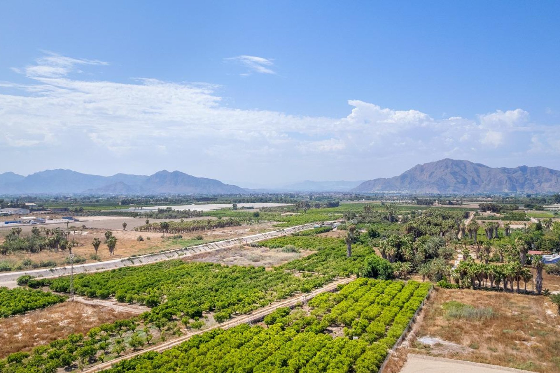 Obra nueva - Apartamento / piso - Jacarilla - pueblo