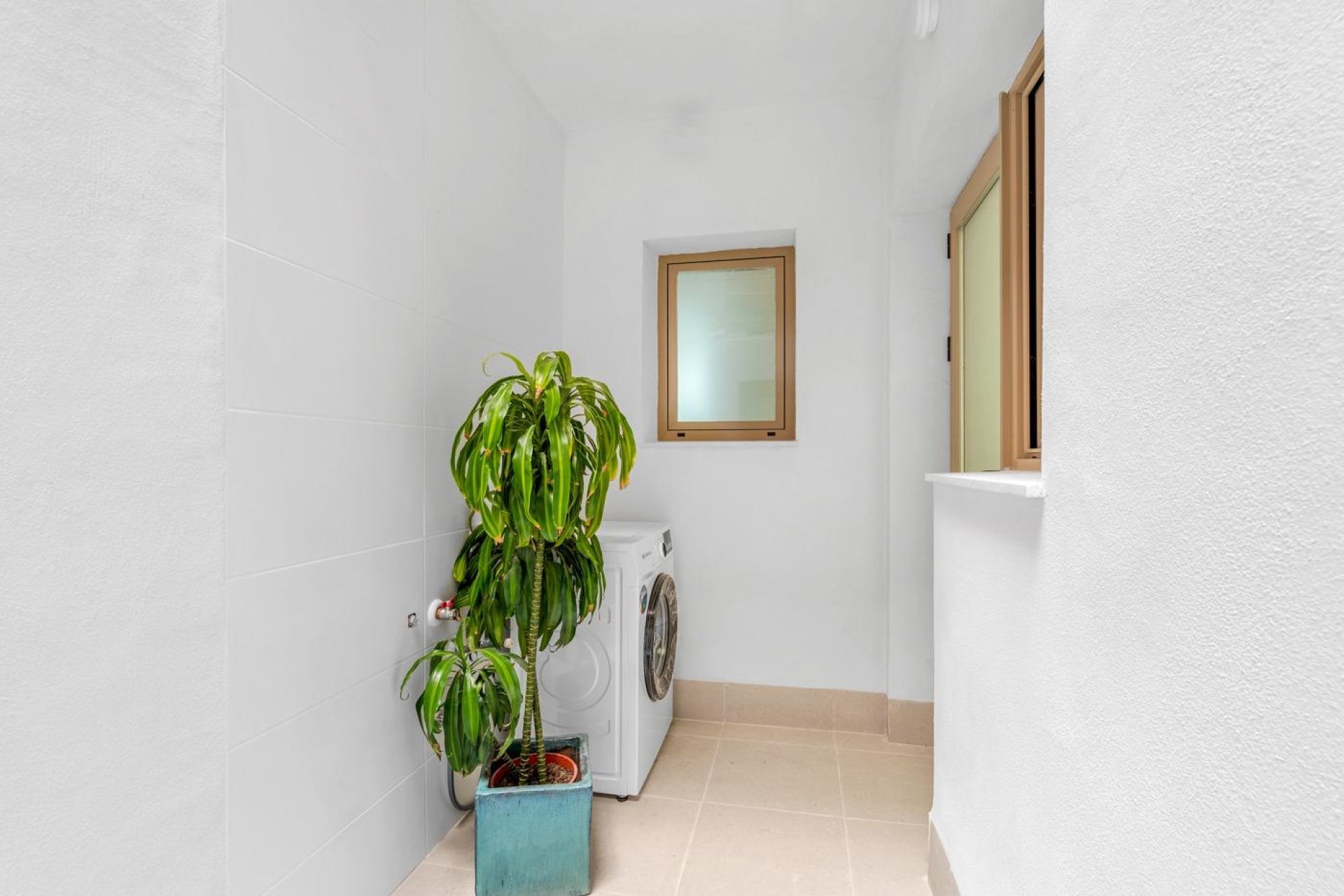 Obra nueva - Ático - Jacarilla - pueblo