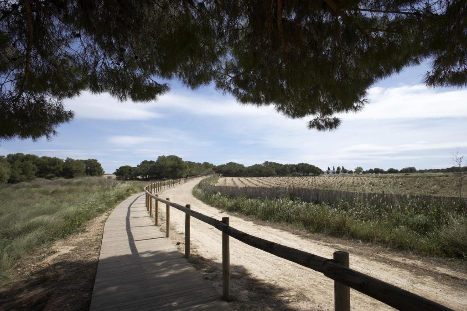 Obra nueva - Bungalow - Torrevieja - Aguas Nuevas