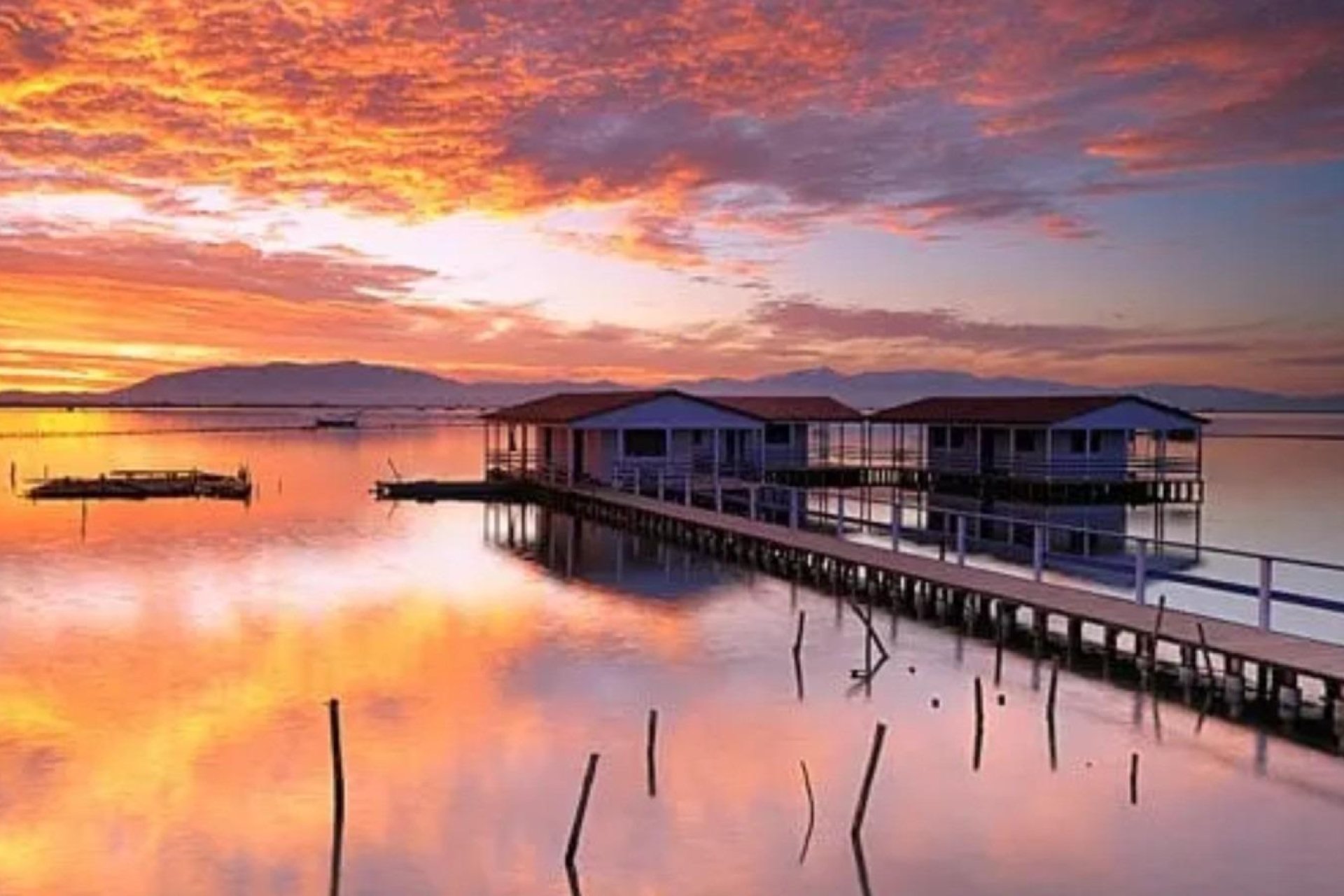 Obra nueva - Ground Floor Bungalow - San Pedro del Pinatar - Los Pinos