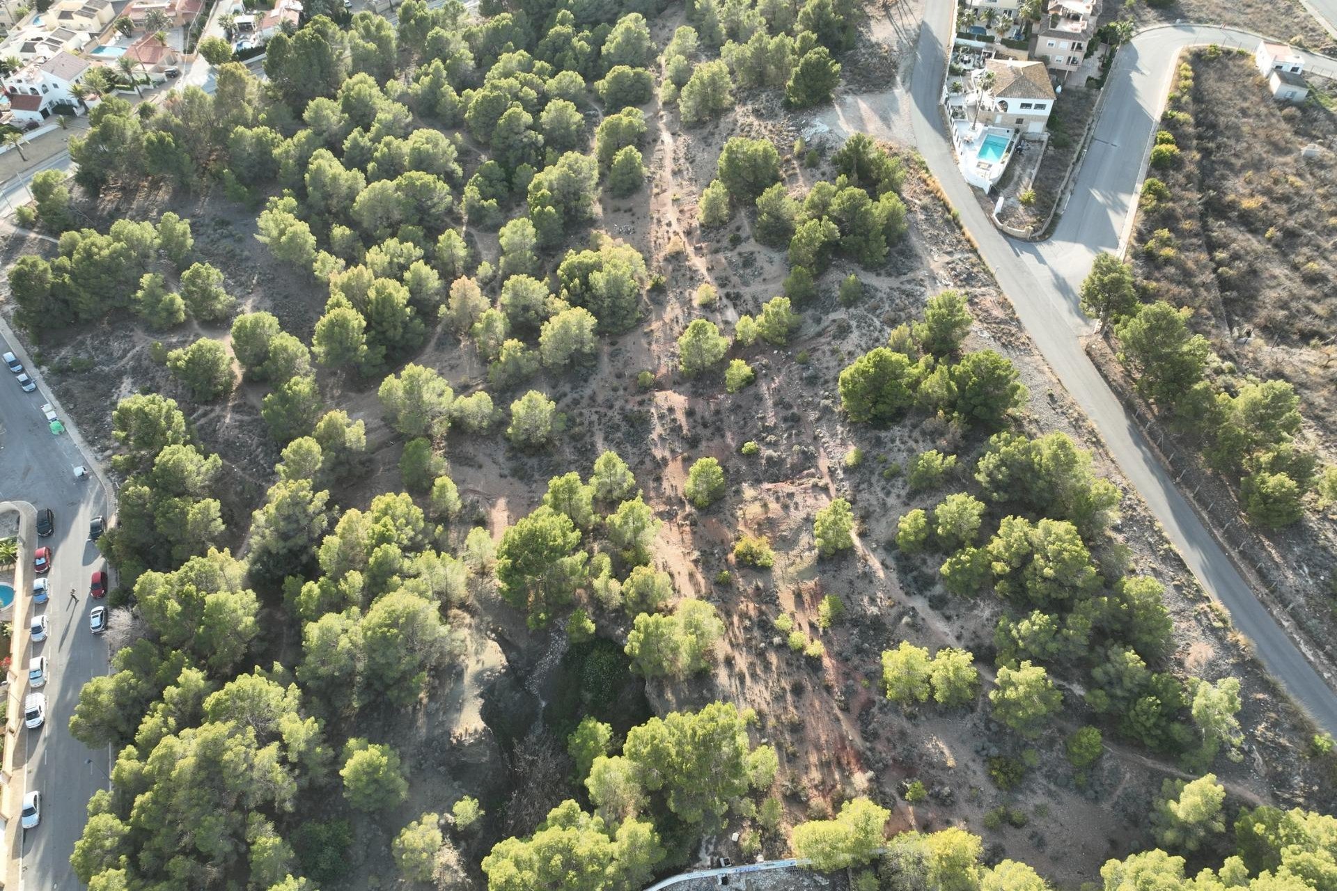 Obra nueva - Villa - Alfas del Pí - Escandinavia