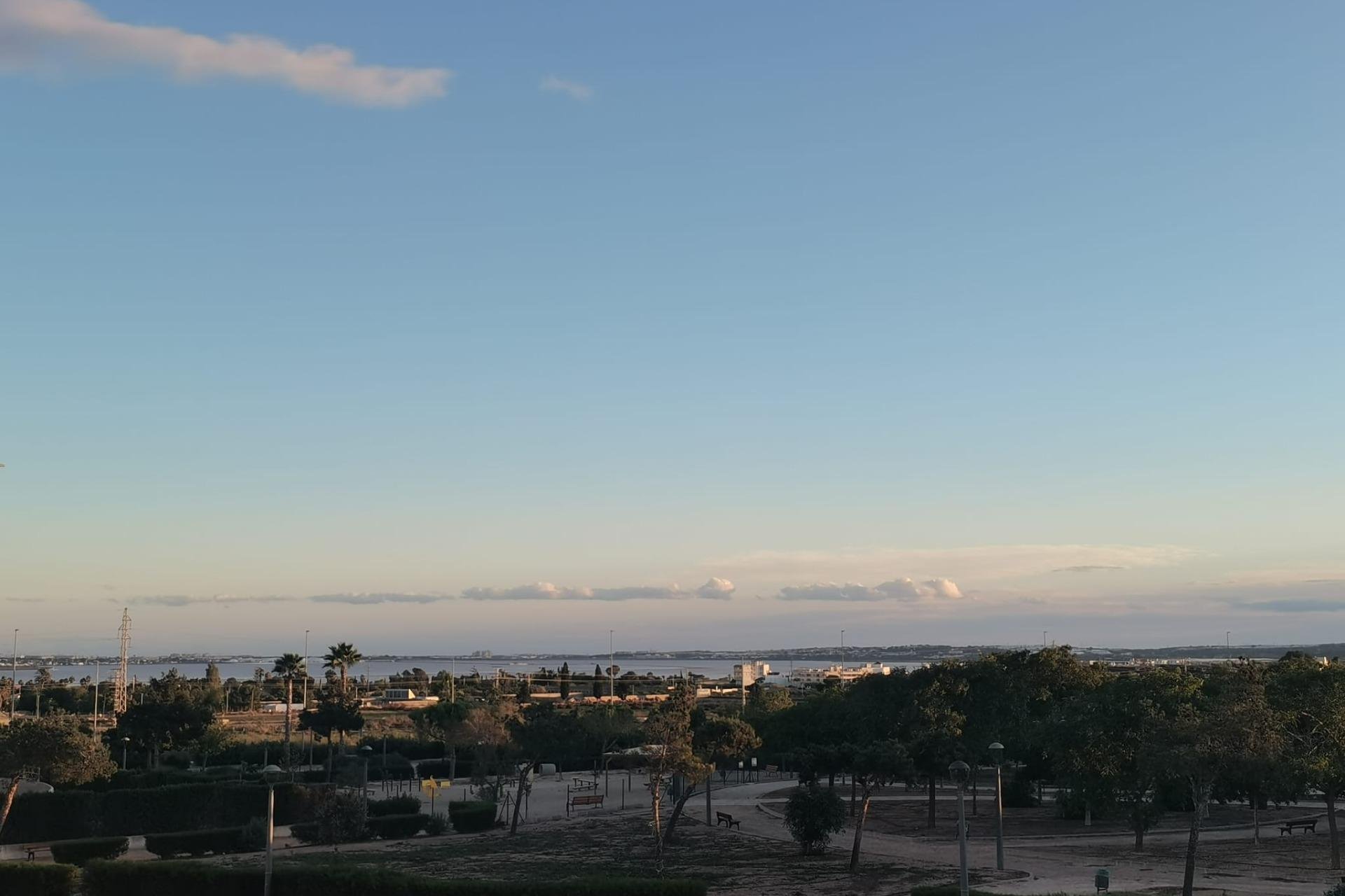 Obra nueva - Villa - Los Montesinos - La herrada