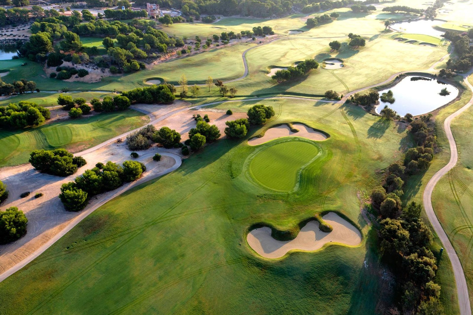 Obra nueva - Villa - Pilar de la Horadada - Lo Romero Golf