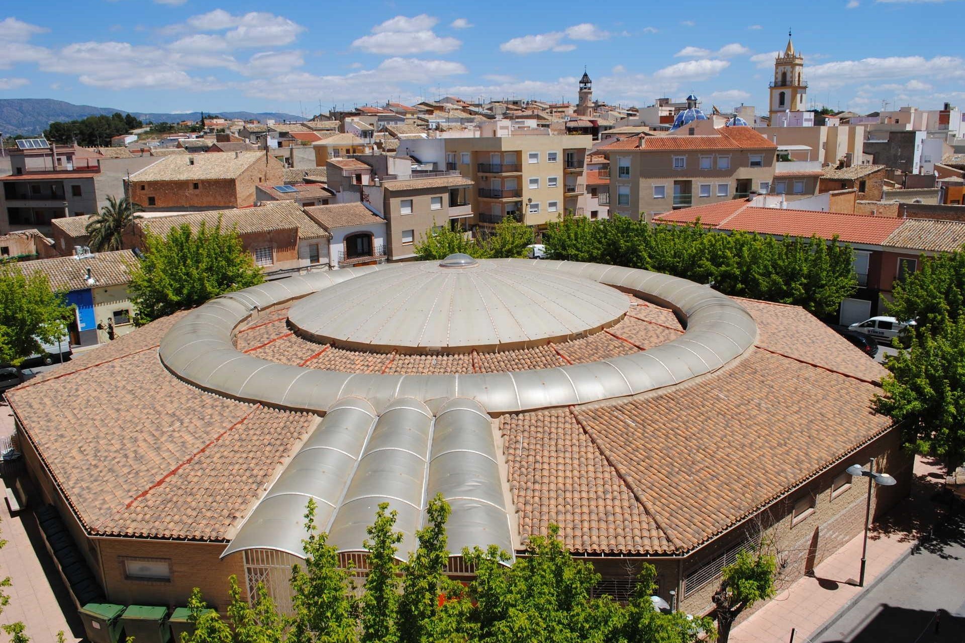 Obra nueva - Villa - Pinoso - Campo