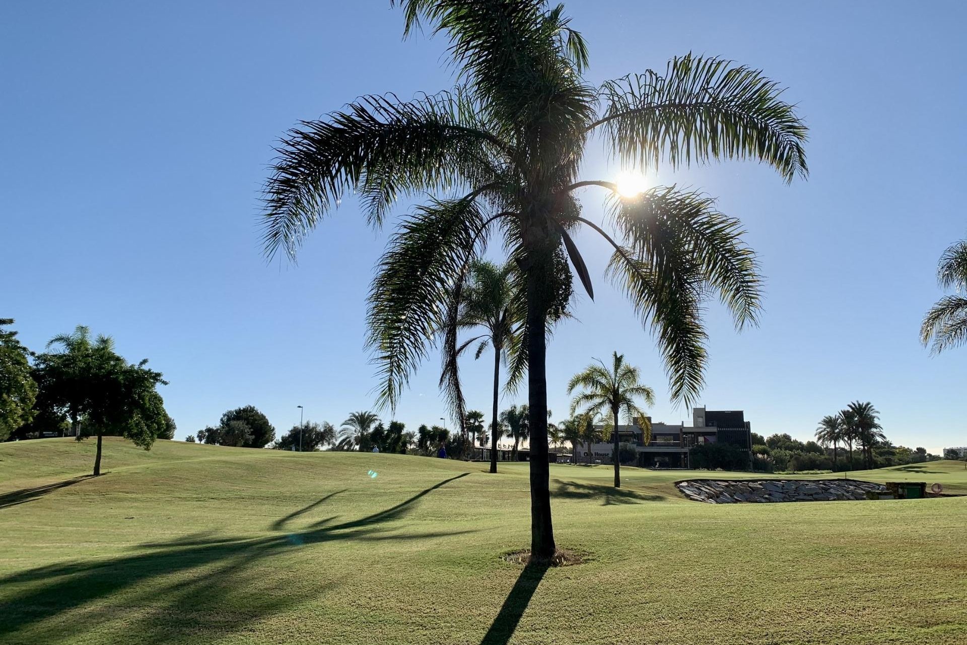 Obra nueva - Villa - San Javier - Roda Golf