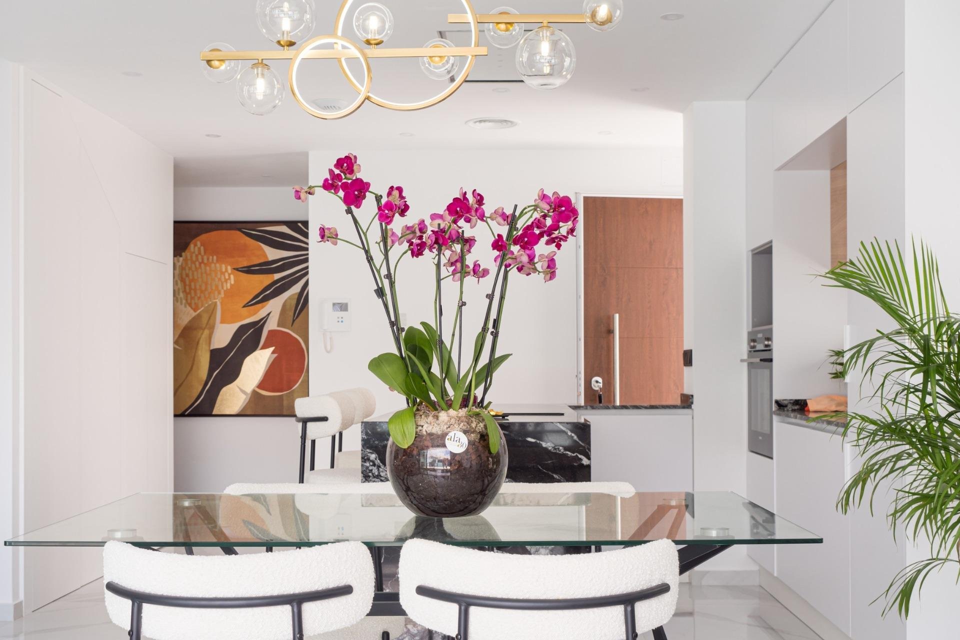 Obra nueva - Villa - San Pedro del Pinatar - San Pedro Del Pinatar