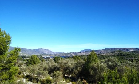 Parcela / Terreno - Reventa - Benimarfull - MGRU-95413