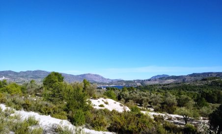 Parcelle / Terrain - Revente - Benimarfull - MGRU-84688