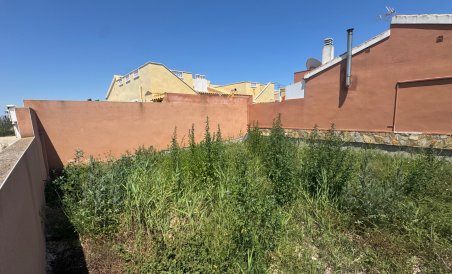 Parcelle / Terrain - Revente - Daya Nueva - AM8211-FL-61544