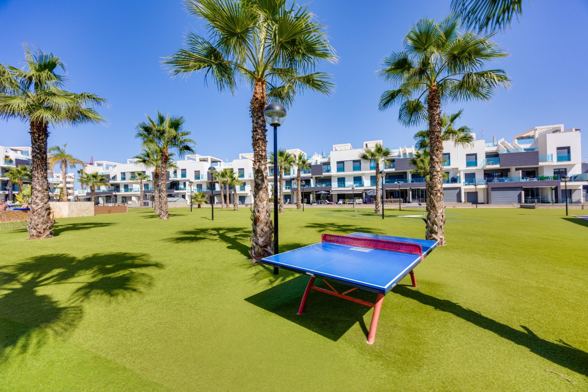 Ping-Pong 