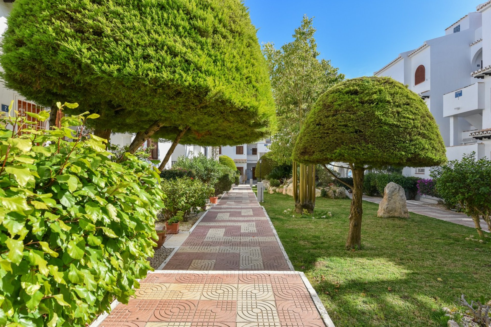 Resale - Apartment / flat - Ciudad quesada - Ciudad Quesada