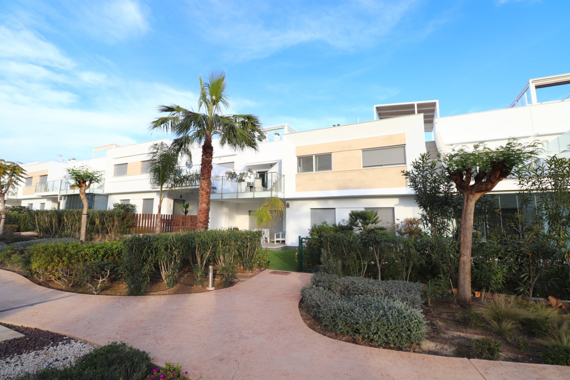 Resale - Apartment / flat - Los Montesinos - Entre Naranjos / Vistabella Golf