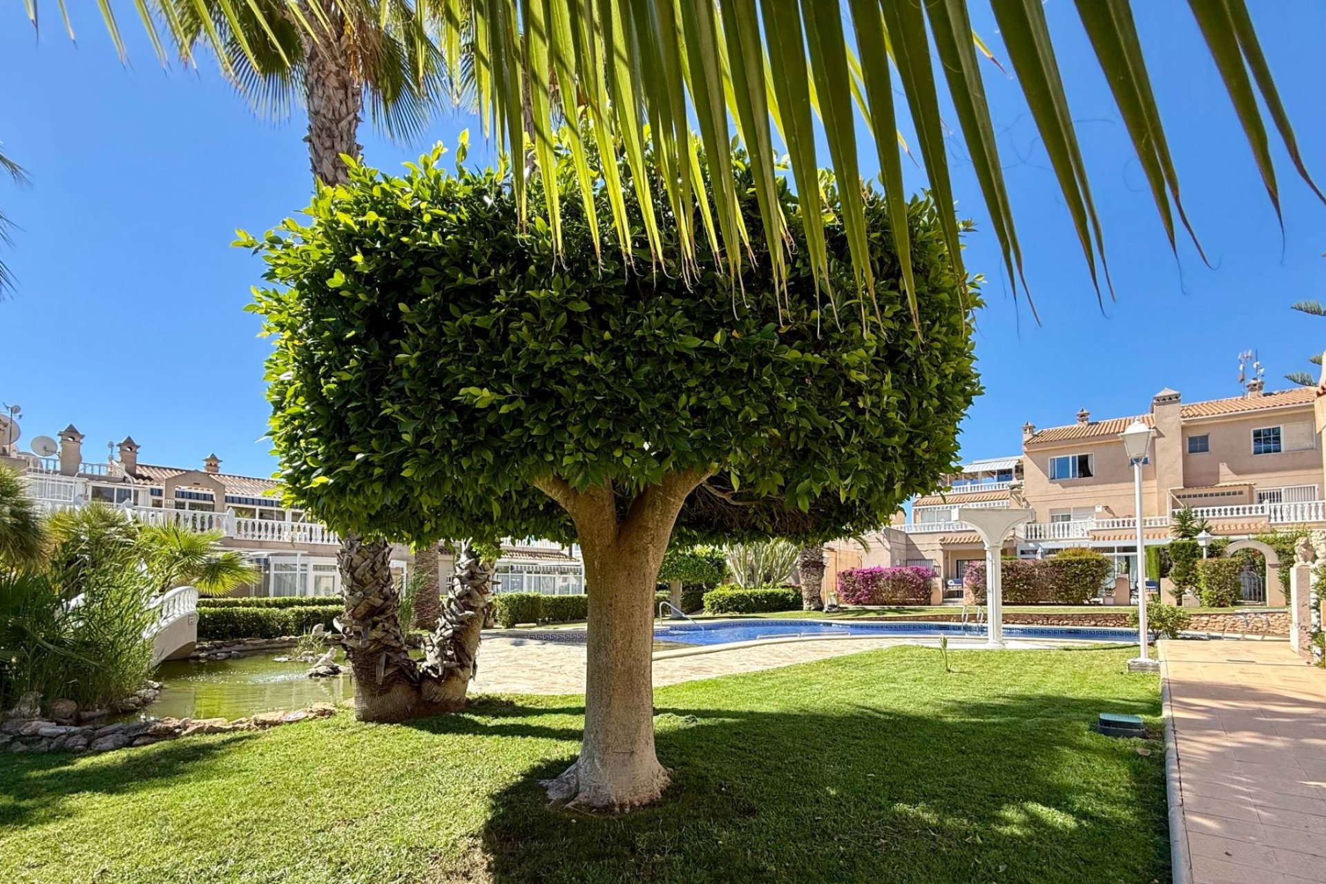 Resale - Apartment / flat - Orihuela Costa - Playa Flamenca