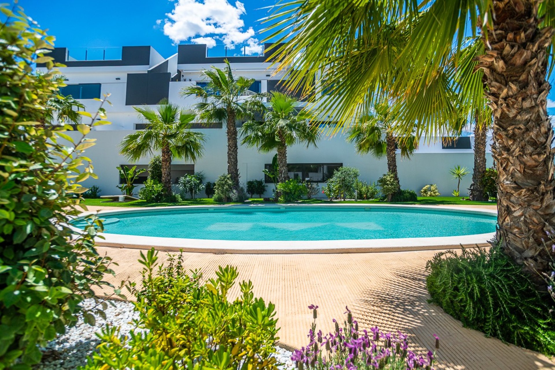 Resale - Apartment / flat - Torrevieja - LOS BALCONES - LOS ALTOS