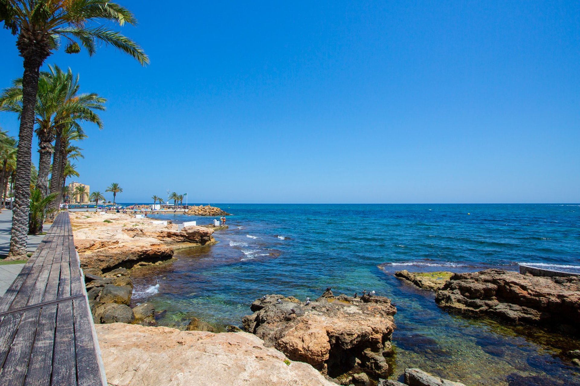 Resale - Apartment / flat - Torrevieja - Playa Los Locos