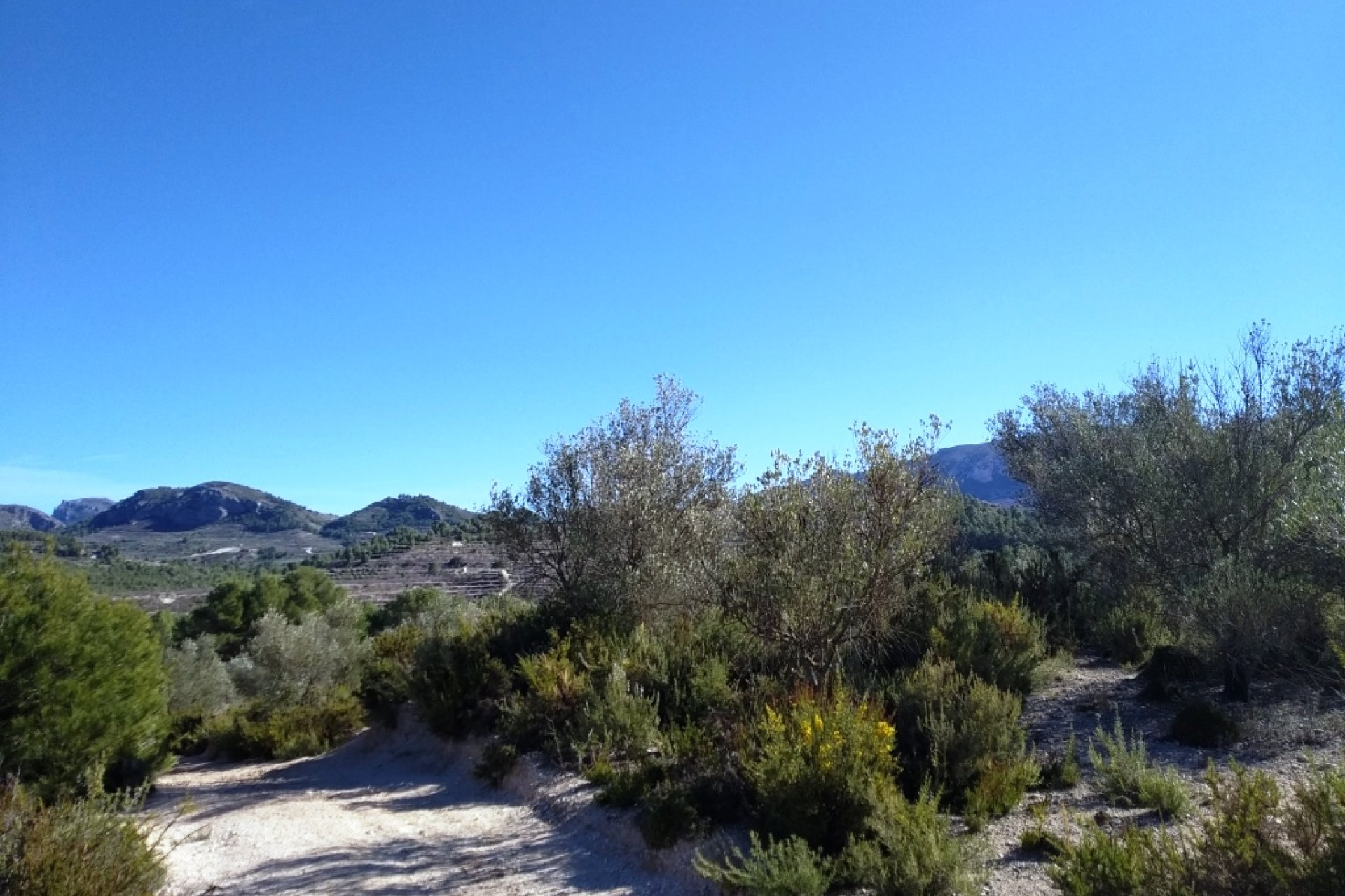 Resale - Plot / Land - Benimarfull