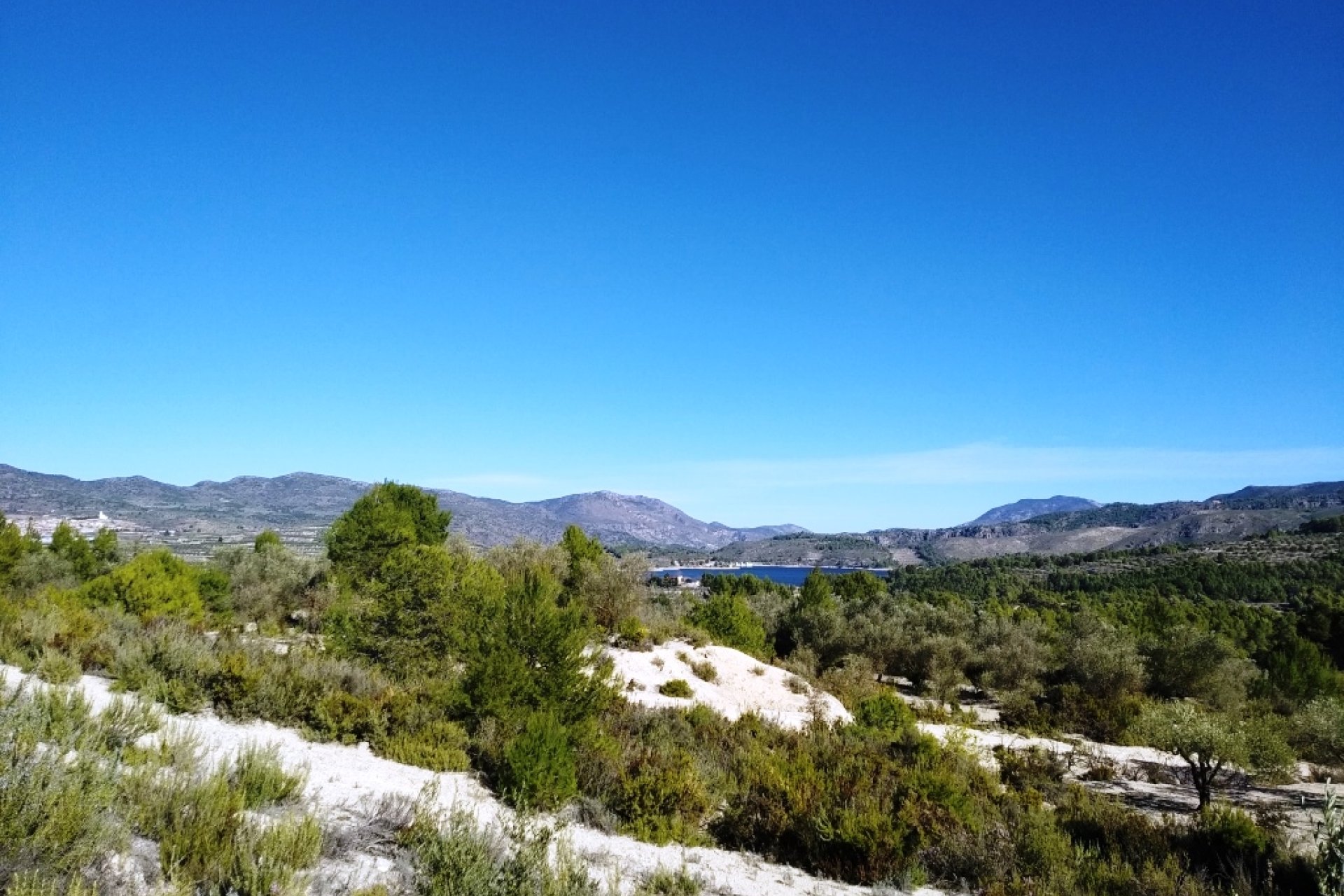 Resale - Plot / Land - Benimarfull