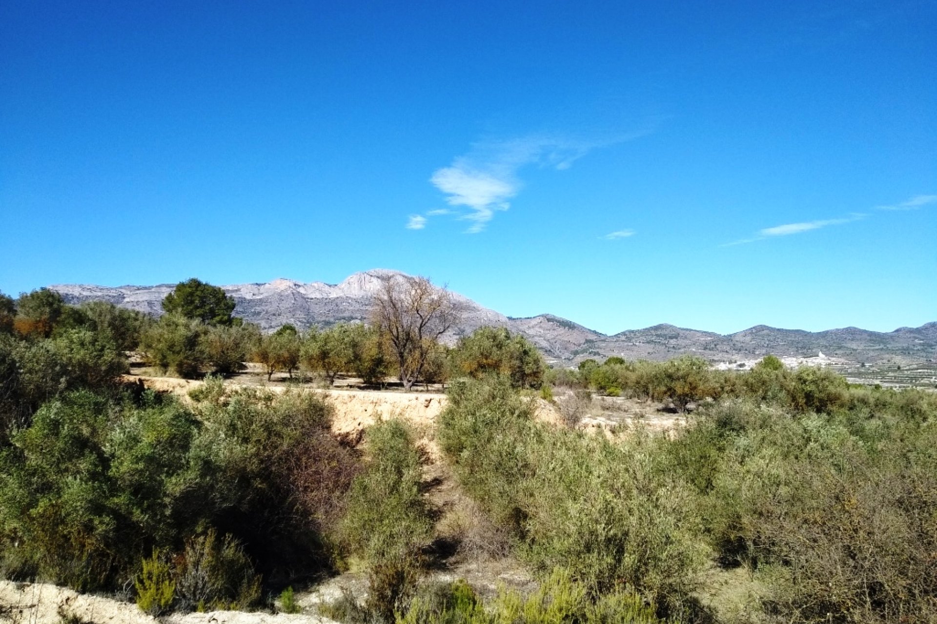 Resale - Plot / Land - Benimarfull