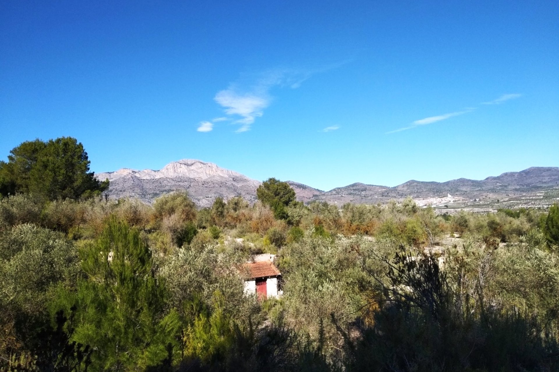 Resale - Plot / Land - Benimarfull