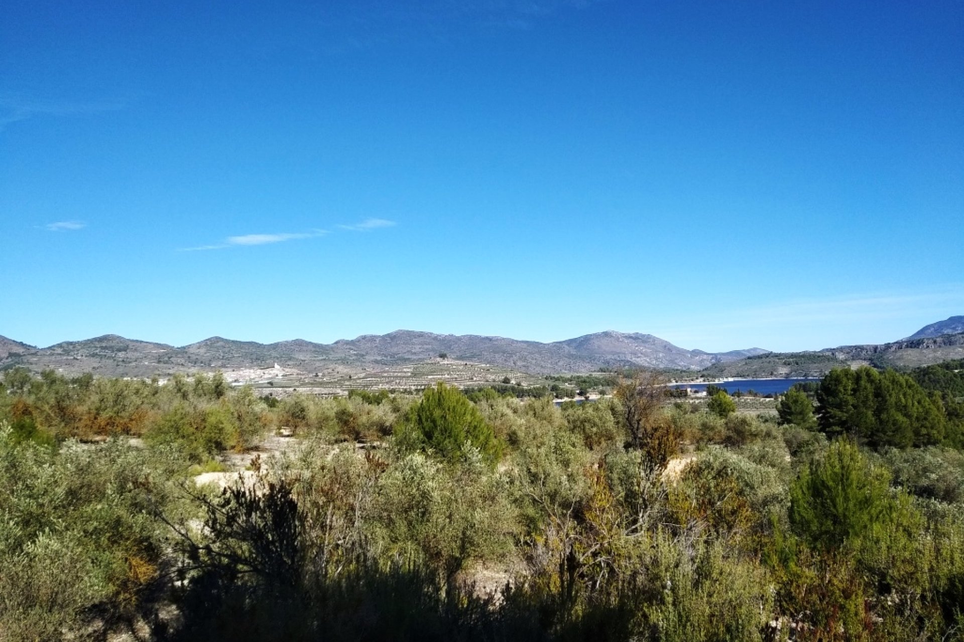 Resale - Plot / Land - Benimarfull