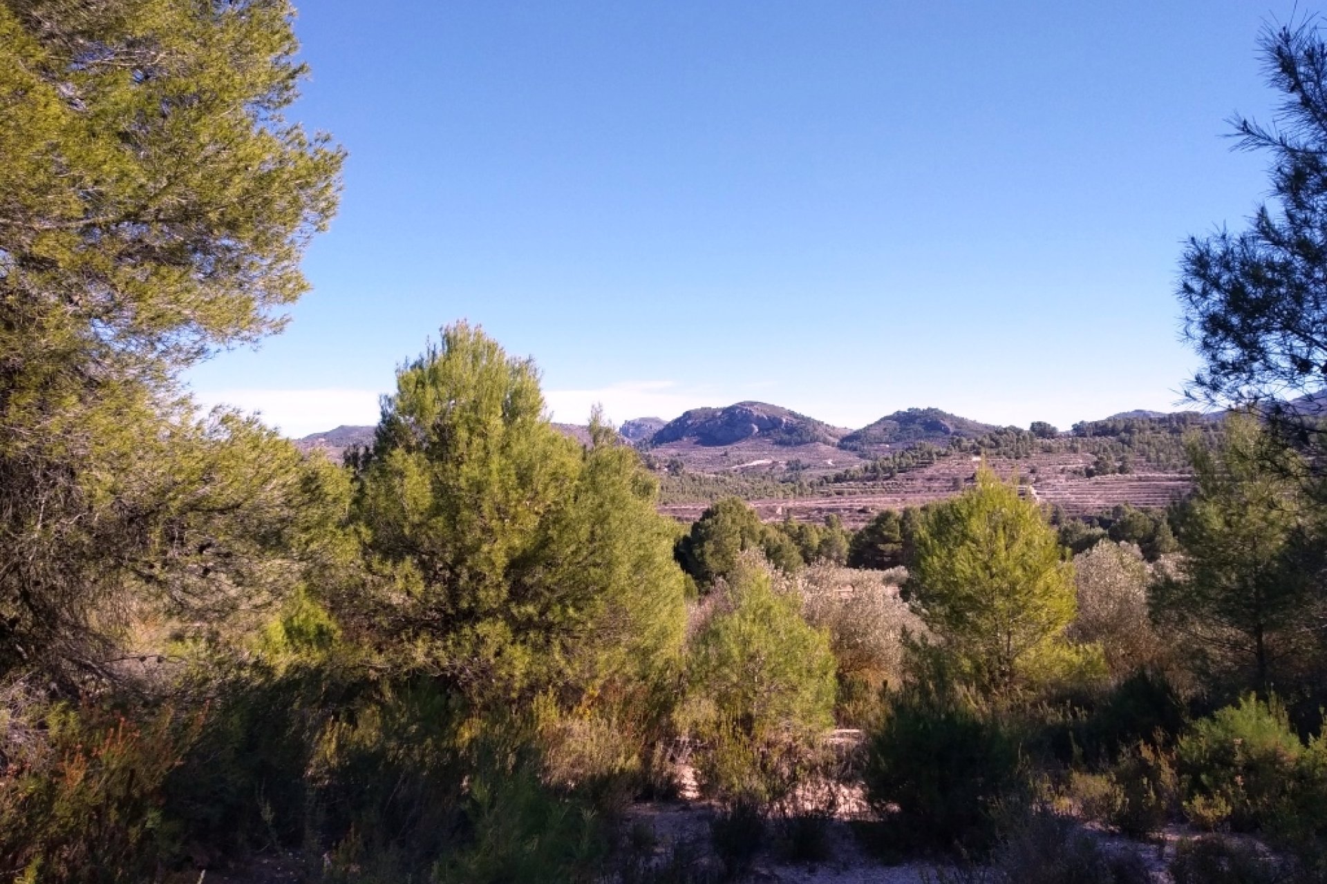 Resale - Plot / Land - Benimarfull