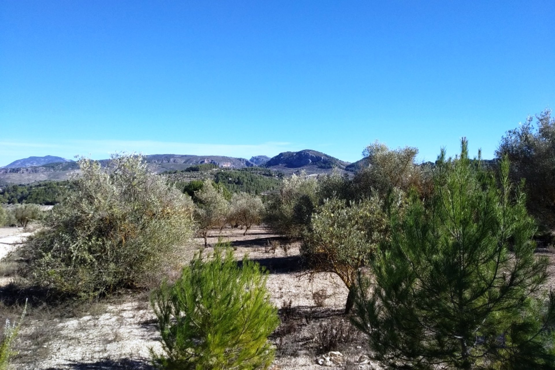 Resale - Plot / Land - Benimarfull