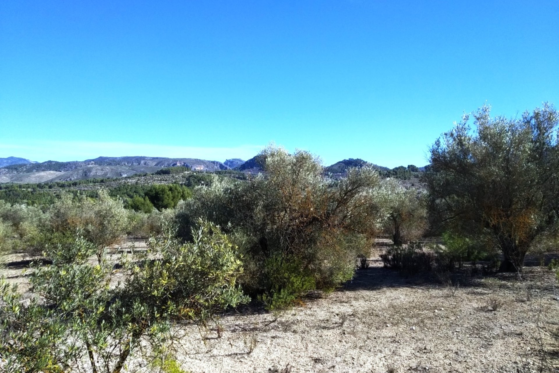 Resale - Plot / Land - Benimarfull