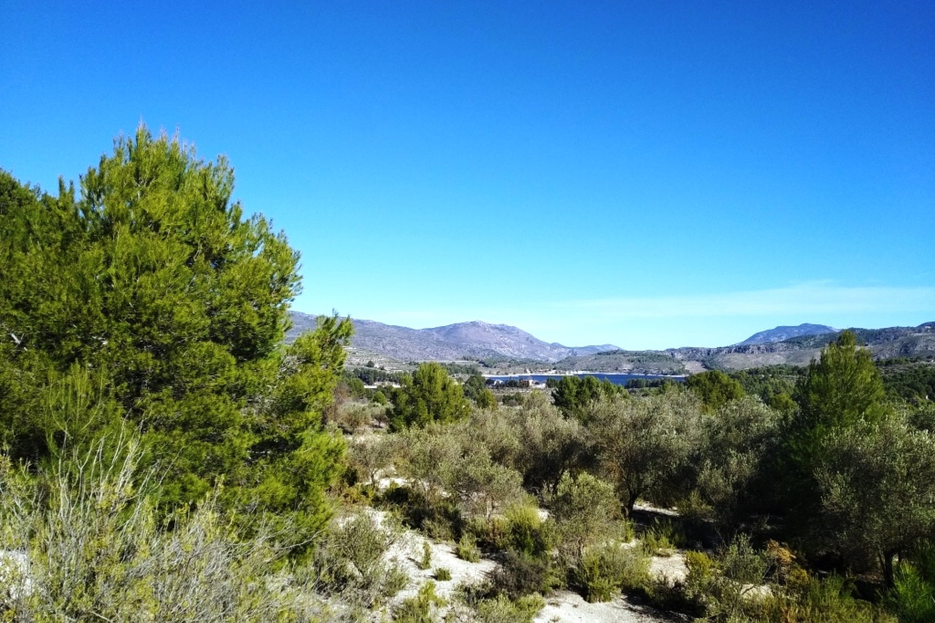 Resale - Plot / Land - Benimarfull