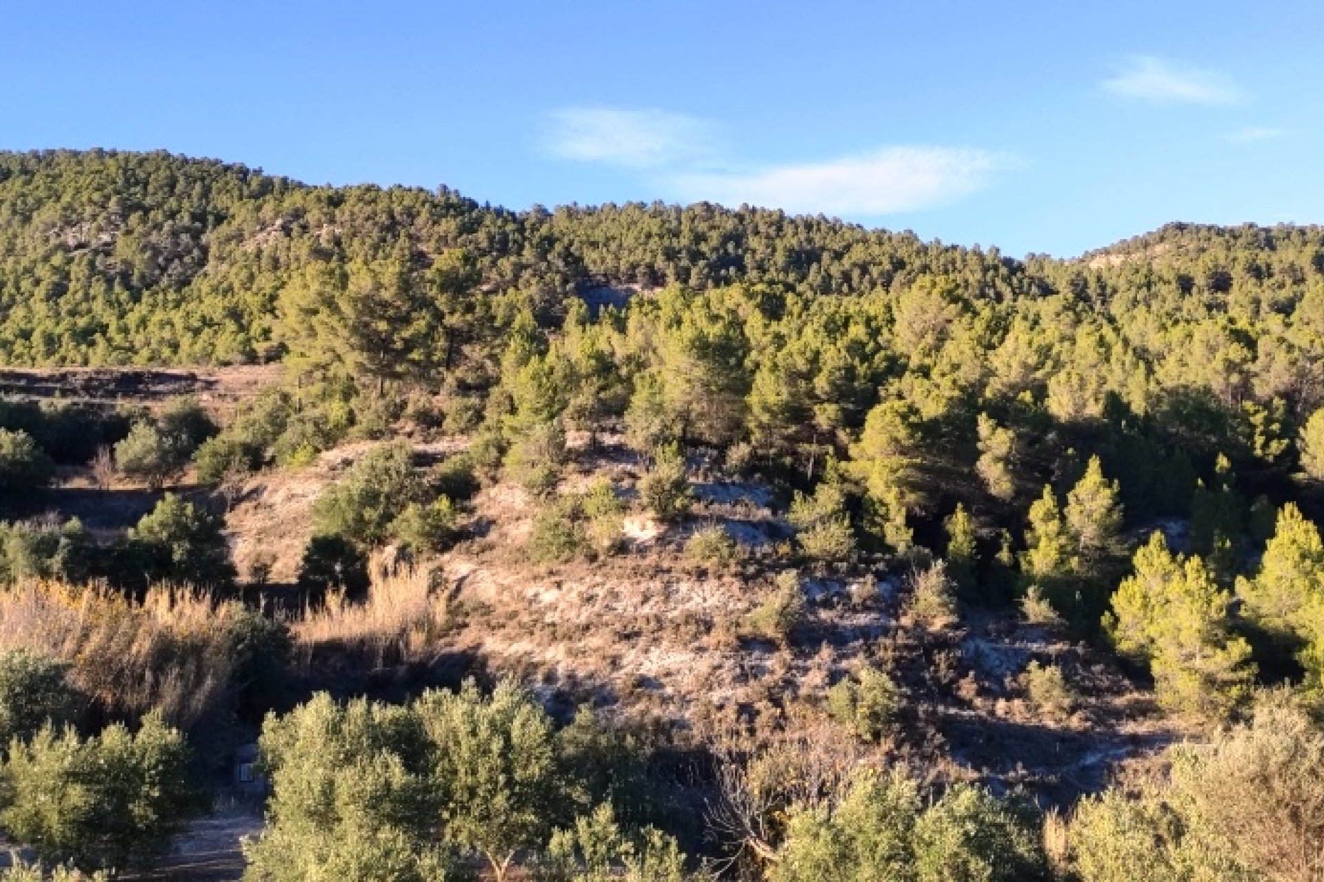 Resale - Villa - Alcoy