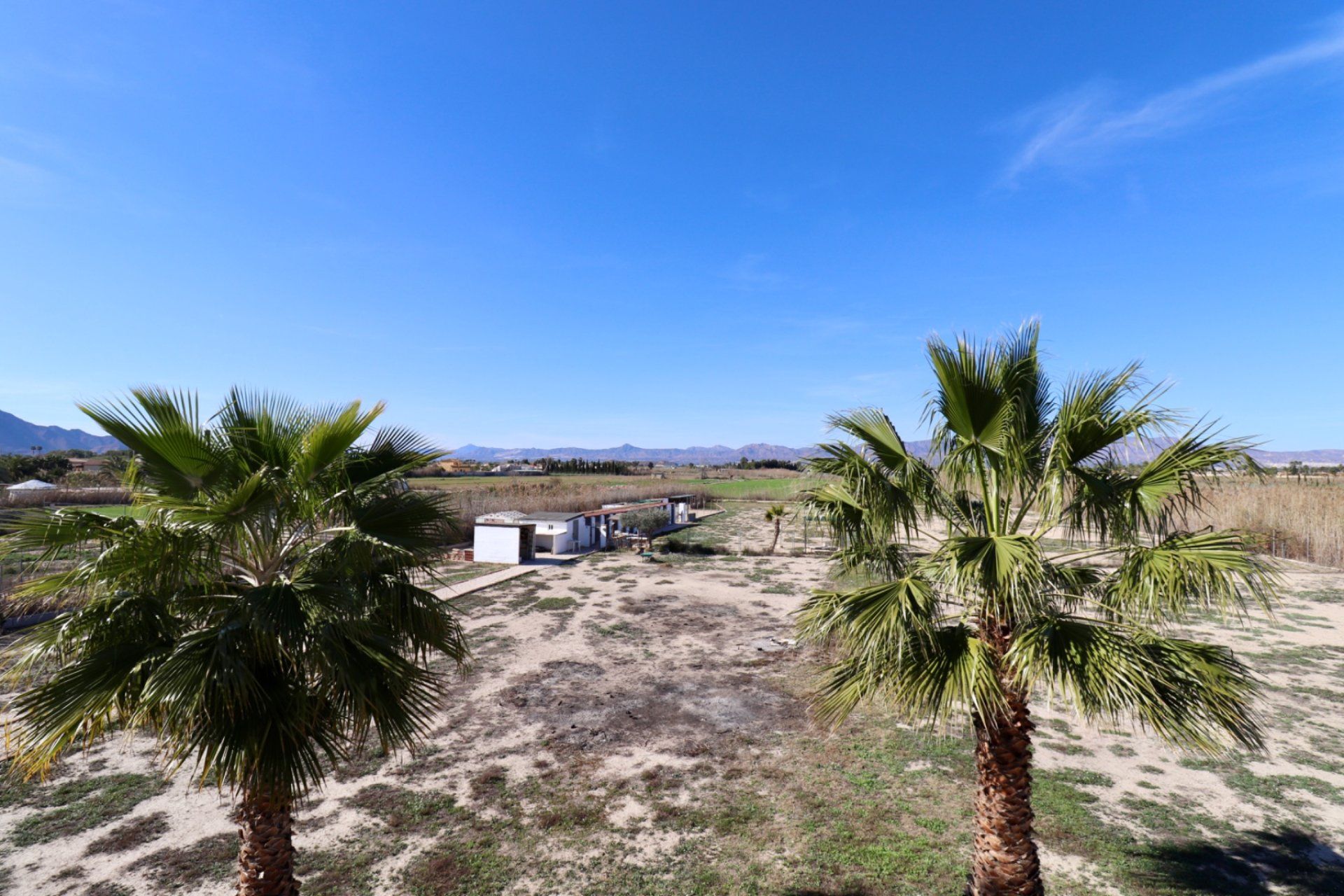 Resale - Villa - Catral