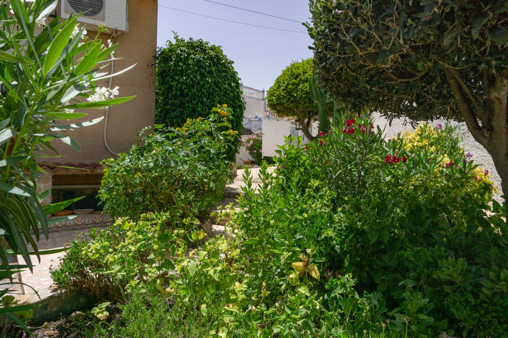 Resale - Villa - Ciudad quesada - town