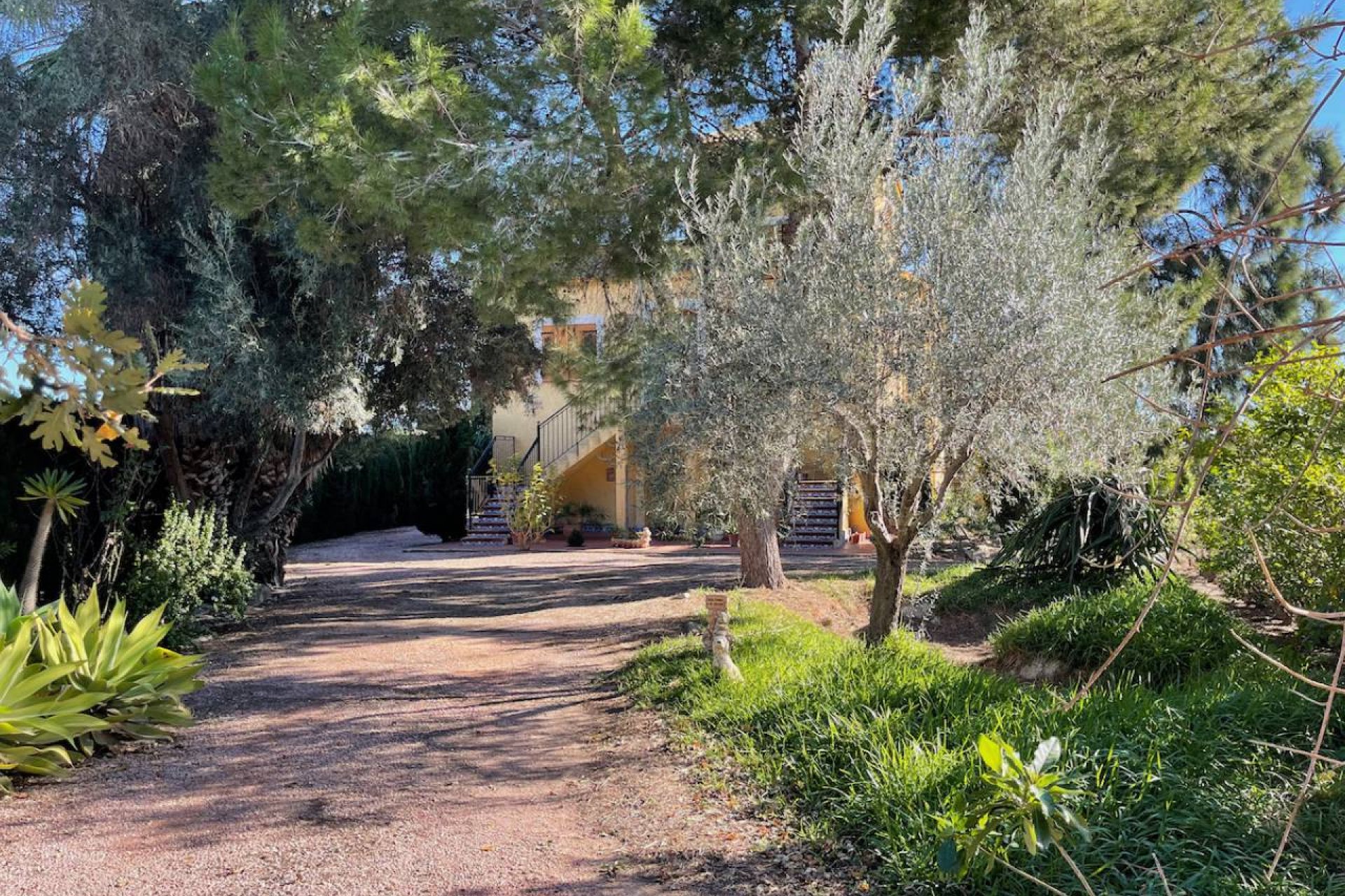 Resale - Villa - Daya Nueva