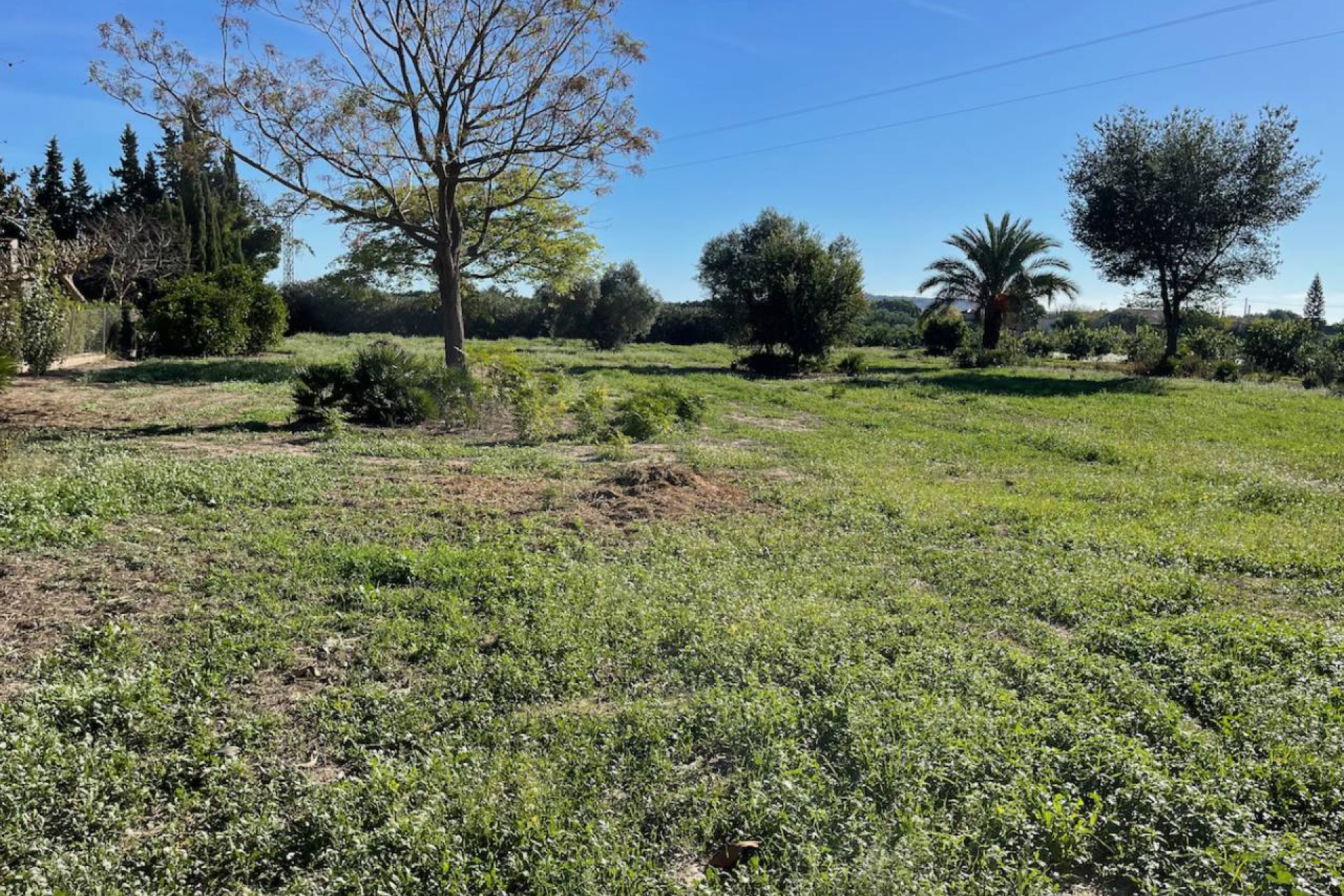 Resale - Villa - Daya Nueva