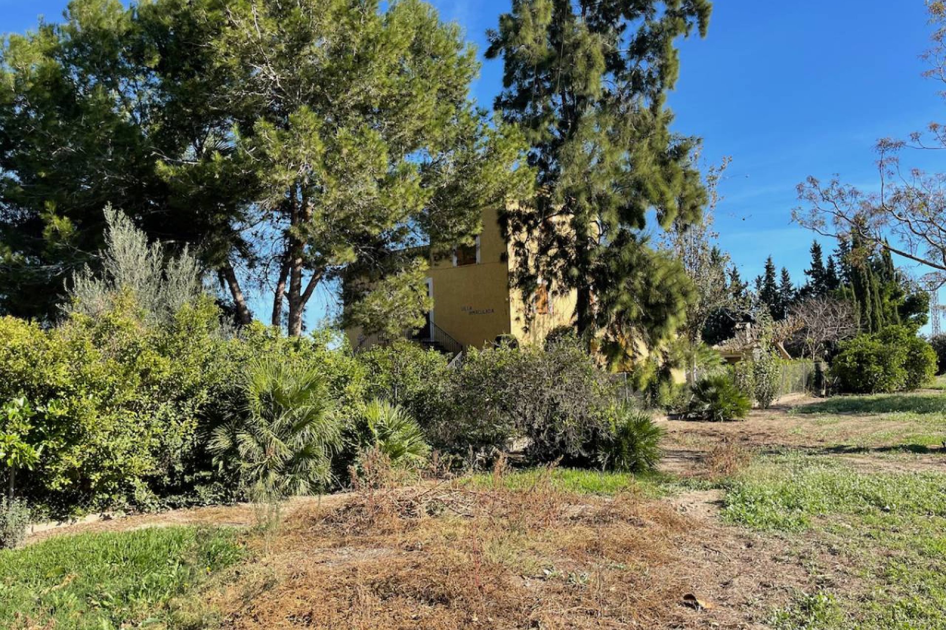 Resale - Villa - Daya Nueva