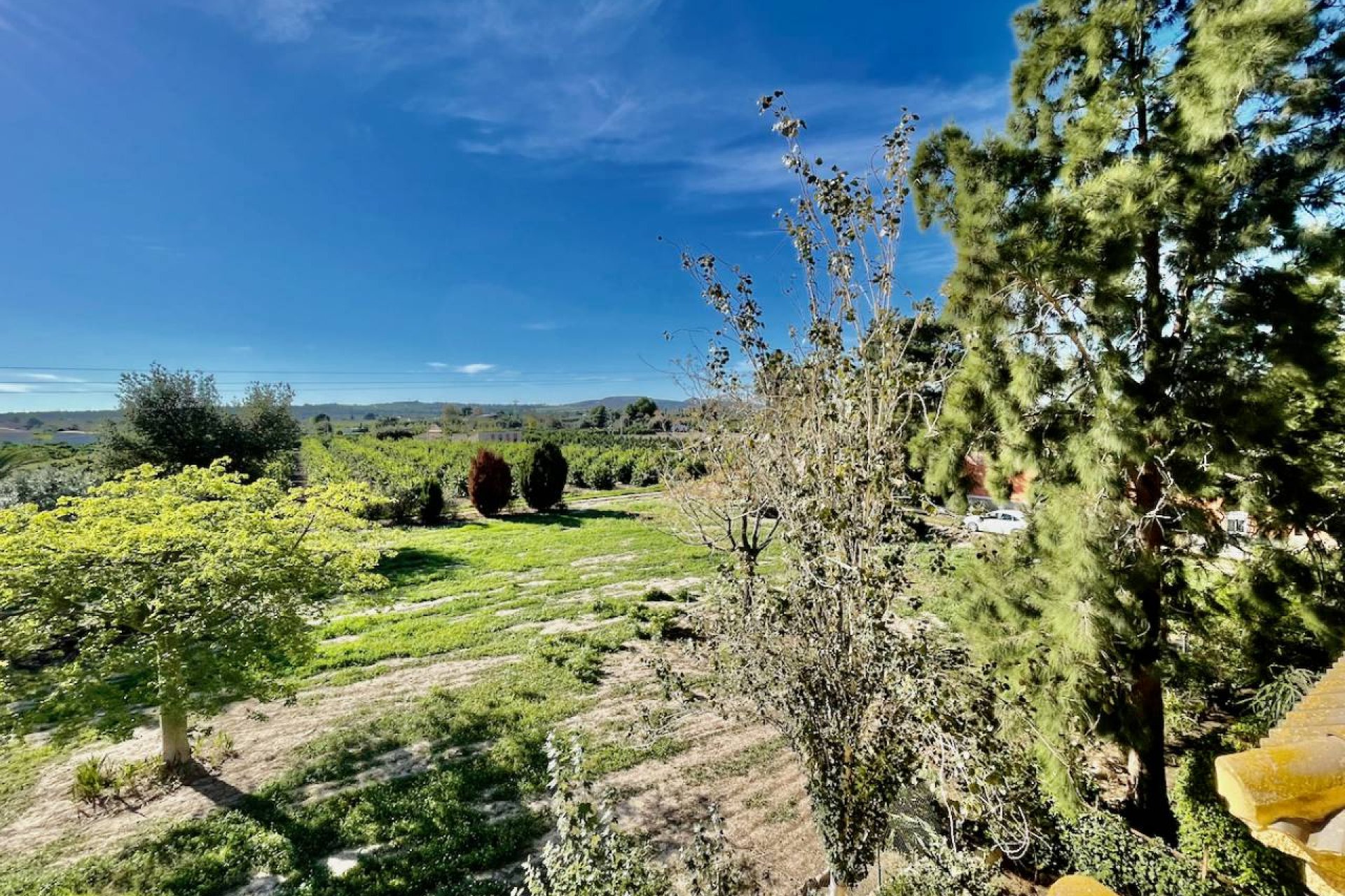 Resale - Villa - Daya Nueva