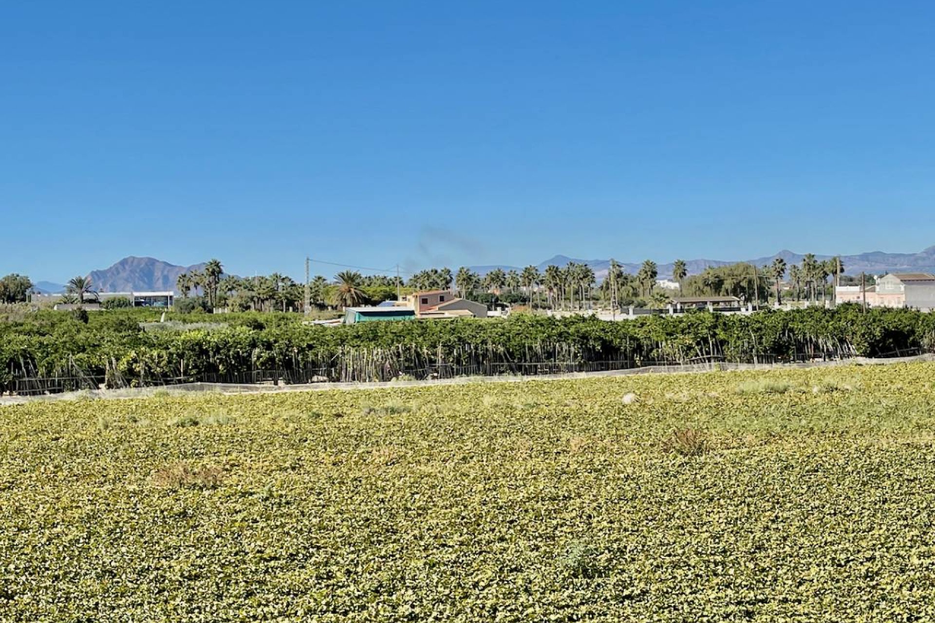 Resale - Villa - Guardamar del Segura